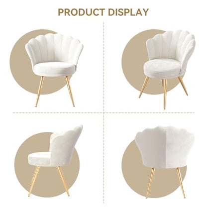 Velvet Accent Chair with Gold Metal Legs, Vanity Chair for Makeup Room, Upholstered Guest Chair for Living Room, for Bedroom, White