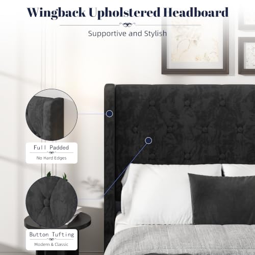 Upholstered Queen Bed Frame, 54" Tall Wingback Headboard, Black, view 5