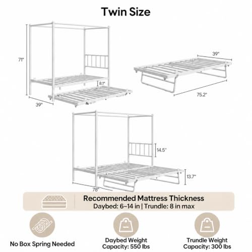 Twin Daybed with Trundle, Canopy Bed with Pop Up Trundle, White, view 3