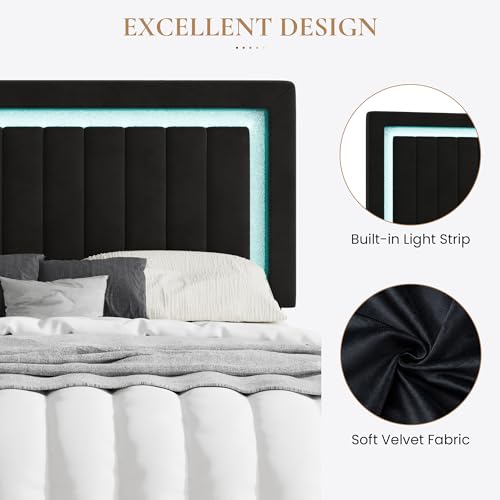Queen Size Velvet Bed Frame with LED Light, Black, view 6