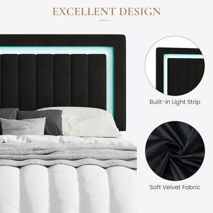 Queen Size Velvet Bed Frame with LED Light, Black, view 6