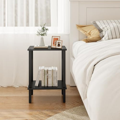 End Table, Set of 2, Side Table, Nightstand, 2-Tier Storage Shelf, Sofa Table for Small Space, Living Room, Bed Room TB01BK035