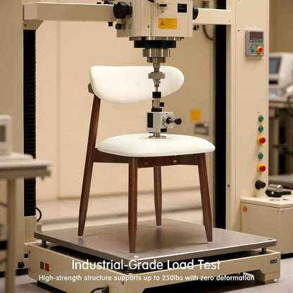 Dining Chairs Set of 4, Upholstered Wooden Dining Room Chairs, Mid Century Modern Fabric Kitchen Chair with Ergonomic Curved Backrest, Beige (Only Chairs)