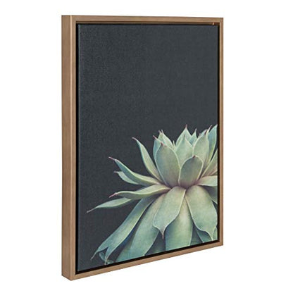 Sylvie Succulent Plant Framed Canvas Wall Art, Botanical Green with Black Background, 18x24 Gold
