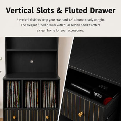 HOJEVE MCM Record Player Bookshelf, view 6
