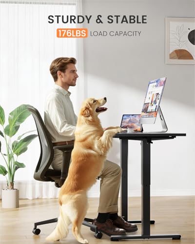 Low Height Adjustable Desk, Lifts 18.9-28.4 Inches, 40 X 24 Inches Electric Standing Desk for Kids, 4 Height Memory Settings & Storage Hooks, Home Office Computer Table & Study Desk, Black