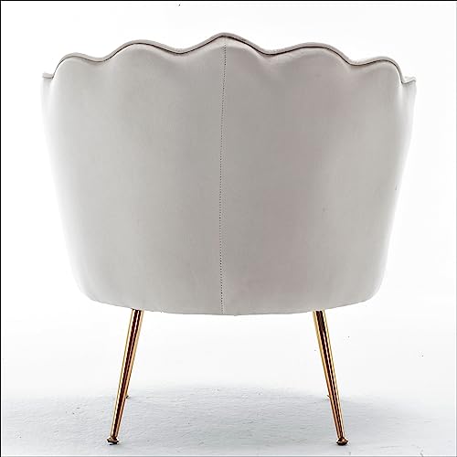 Velvet Barrel Accent Chair with Scalloped Silhouette and Gold Metal Legs, Decorative Piece Suitable for Traditional, Modern, and Contemporary Spaces, Ivory