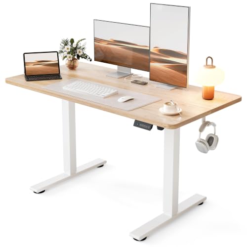 Standing Desk, 48x24 Inches Sit Stand Home Office Desk, Electric Stand up Desk, view 2