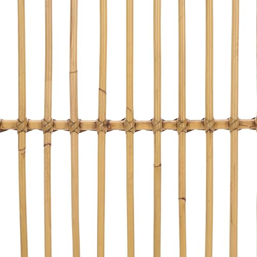 SAFAVIEH Furniture - Lusine Queen Headboard - Honey Brown Wash - Rattan & Solid Wood - Handwoven Tropical Design for Bedroom & Guest Room, 60" W x 2.6" D x 55.1" H (HBD6503A-Q)