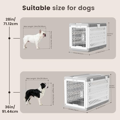Collapsible Dog Crate for Medium/Small Dogs, view 4