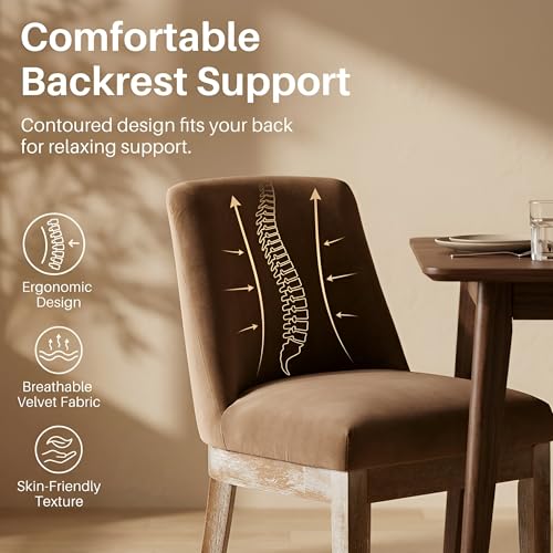 Modern Dining Chairs Set of 2 with Comfortable Back Support, Farmhouse Soft Velvet Upholstered Kitchen Dining Room Chairs with Solid Wood Legs, Armless Accent Side Chairs for Living Room, Khaki