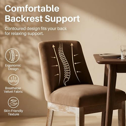 Modern Dining Chairs Set of 2 with Comfortable Back Support, Farmhouse Soft Velvet Upholstered Kitchen Dining Room Chairs with Solid Wood Legs, Armless Accent Side Chairs for Living Room, Khaki