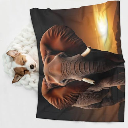 Elephant Sunset in Kenya Print Pet Blanket, view 6