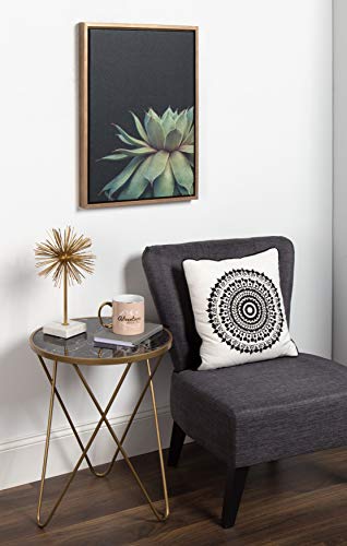 Sylvie Succulent Plant Framed Canvas Wall Art, Botanical Green with Black Background, 18x24 Gold