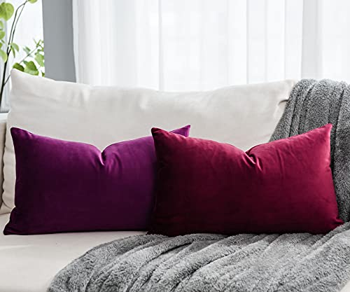 Purple Decorative Lumbar Velvet Throw Pillow Covers 16x24 inch Set of 2 with Zipper Luxury Soft Solid Rectangle Cushion Covers Case for Sofa Couch Bed Living Room