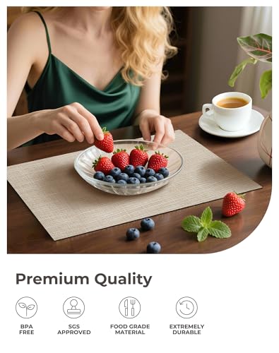 Beige Placemats Set of 6 - Heat-Resistant, Non-Slip Table Mats, Washable Woven Vinyl for Indoor & Outdoor Dining