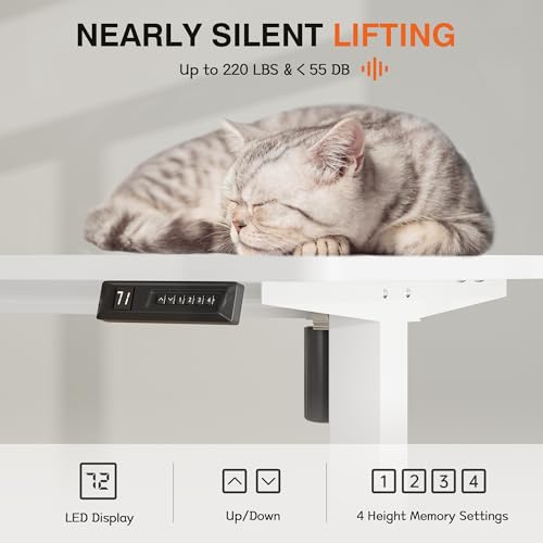 Electric Standing Desk, 47 x 24 Inches Height Adjustable Desk with Removable Casters, Home Office Computer Desk (White)