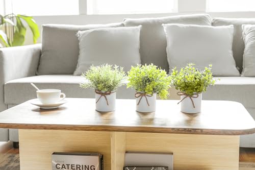 Fake Plants in Farmhouse Galvanized Metal Pots Table Centerpiece Rustic Home Decor, 3 Pack Potted Artificial Plants Faux Eucalyptus for Shelf Indoor Dining Room Office