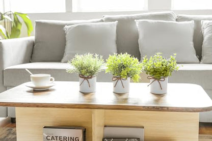 Fake Plants in Farmhouse Galvanized Metal Pots Table Centerpiece Rustic Home Decor, 3 Pack Potted Artificial Plants Faux Eucalyptus for Shelf Indoor Dining Room Office