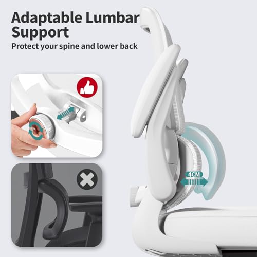 Office Chair, Ergonomic Desk Chair with Adjustable Lumbar Support, view 5