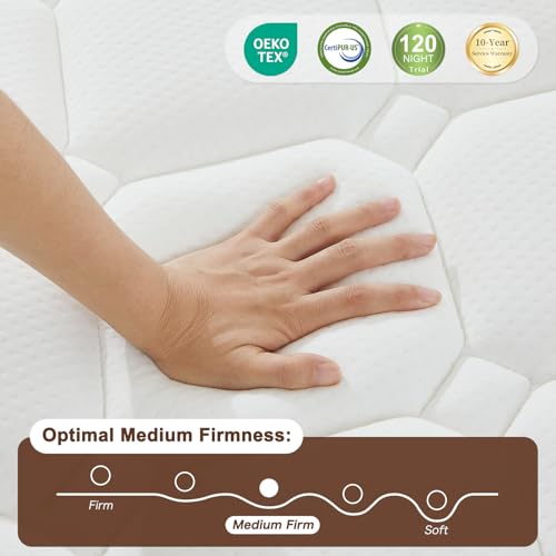 Queen Size Mattress 12 Inch, Hybrid Mattresses in a Box, Medium Firm Individual Pocket Springs Fiberglass Free Breathable and Stress-Relieving CertiPUR-US 80" x 60"