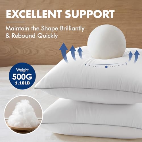18x18 Inch Pillow Inserts Pack of 2 with 100% Cotton Cover, view 4