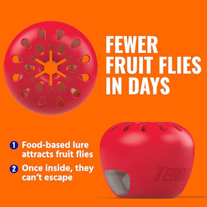 TERRO Fruit Fly Trap 4-Pack, 180 Day Lure Supply, Food-Based Lure, view 6