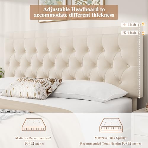 Modern Queen Size Upholstered Bed Frame with 4 Storage Drawers, Button Tufted Headboard Design, Solid Wooden Slat Support, Easy Assembly, Soft Velvet, Beige