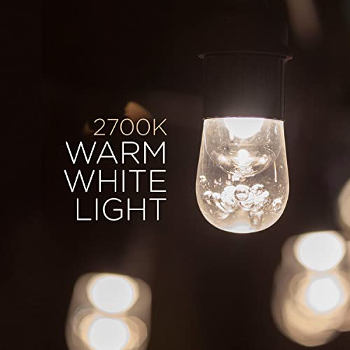 Classic Warm White String Lights, 48ft Black Cord, 24 Shatterproof Acrylic Bulbs, view 6