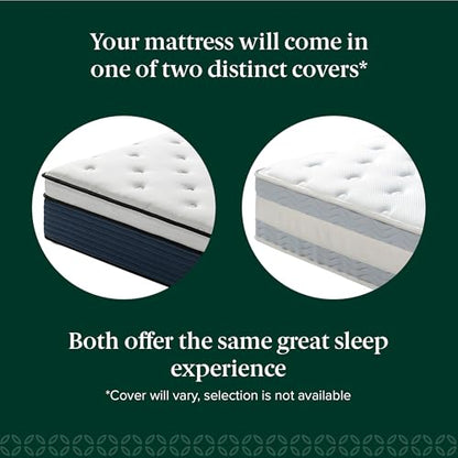 Zinus 12 Inch Comfort Support Hybrid Mattress [New Version], Queen, Fiberglass Free, Medium Plush, Motion Isolation, Certified Safe Foams & Fabric, Mattress in A Box