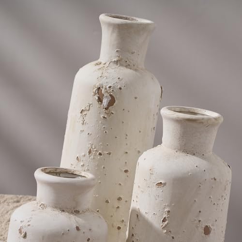Ceramic Rustic Farmhouse Vase Set of 3, Whitewashed Terracotta Vase, Clay Decorative Vases for Home Decor, Living Room, Shelf, Mantel Decoration(Rustic White)