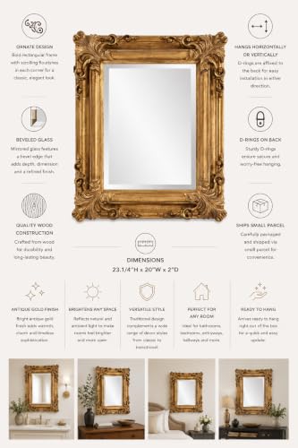 Edwin Hanging Rectangular Wall Mirror, Rustic Antique Gold Framed Decorative Accent Mirror for Living Room or Bedroom with Elegant Embellished Design, 19 x 23 Inch