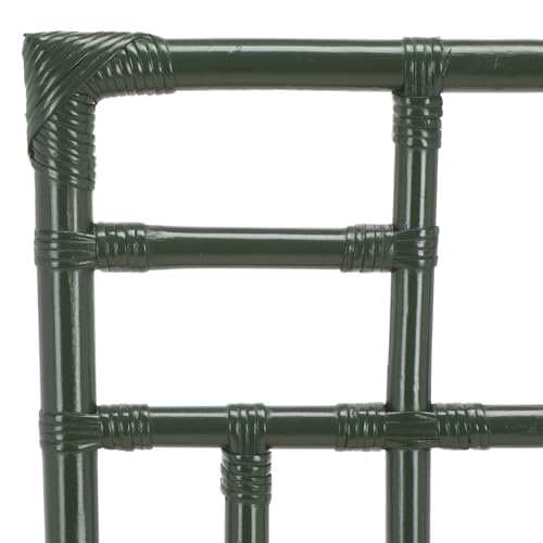 SAFAVIEH Furniture - Christine Set of 2 Dining Chairs - White & Forest Green - Upholstered Rattan Seating - Fully Assembled - Ideal for Dining Room, Kitchen, 17.3" Seat Height (ACH6507E-SET2)