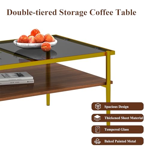 Glass Coffee Table Modern Center Table,Small Coffee Table Sofa Side Tea Table for Living Room,Tempered Glass-top with Metal Frame