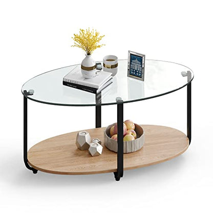 Glass Coffee Table, 2 Tier Oval Tea Table with Tempered Glass Tabletop and Wooden Shelf, Modern Glass Sofa Center Table for Home Office, Metal Legs, Home Decor Accent Cocktail Table