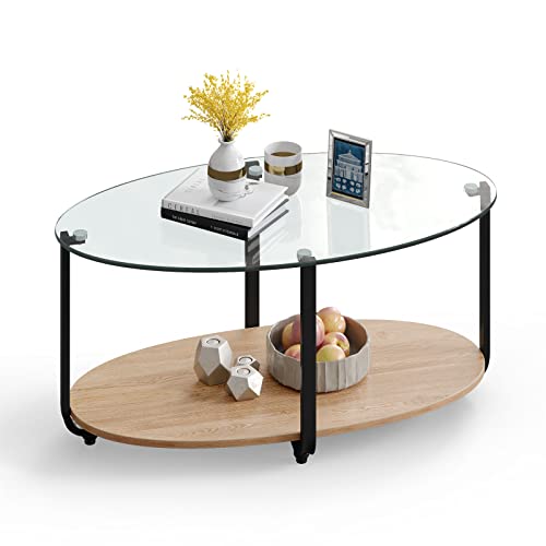 Glass Coffee Table, 2 Tier Oval Tea Table with Tempered Glass Tabletop and Wooden Shelf, Modern Glass Sofa Center Table for Home Office, Metal Legs, Home Decor Accent Cocktail Table