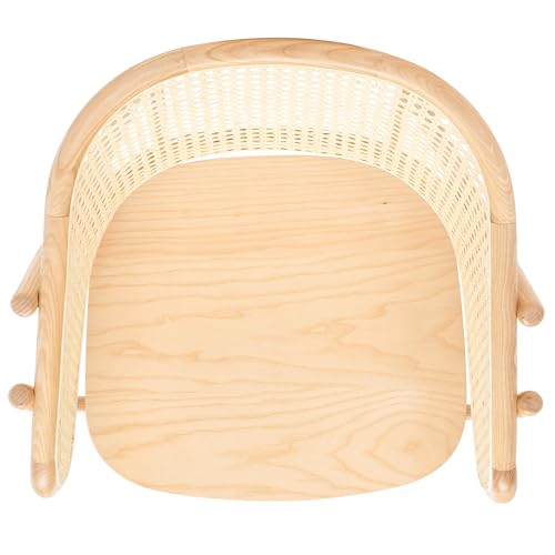 SAFAVIEH Couture Collection Emmy Tropical Coastal Natural Rattan Back Dining Chair