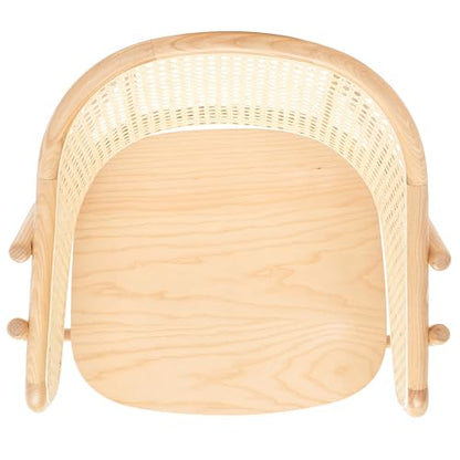 SAFAVIEH Couture Collection Emmy Tropical Coastal Natural Rattan Back Dining Chair