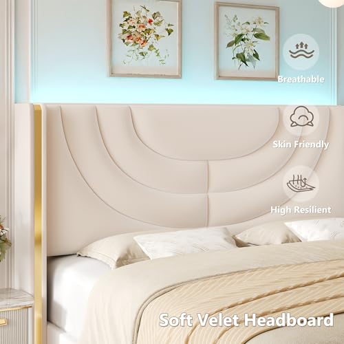 Queen Upholstered LED Bed Frame with 2 Storage Drawers, Velvet Platform Bed with Wingback Headboard, Solid Wooden Slats Support, No Box Spring Needed, Headboard Splicing Design, Beige