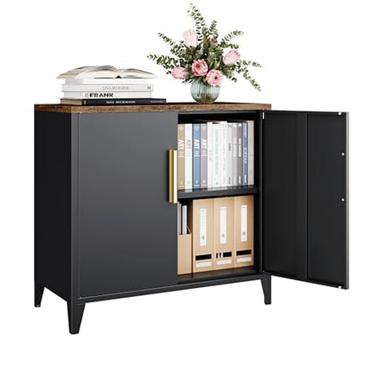 Metal Storage Cabinet with 2 Doors and Shelves 16" Dx 32" Wx30 H,Small Buffet Sideboard Short Cabinet for Kitchen Dining,Office Credenza Locker Modern Coffee Bar,Entryway Bathroom(Black)