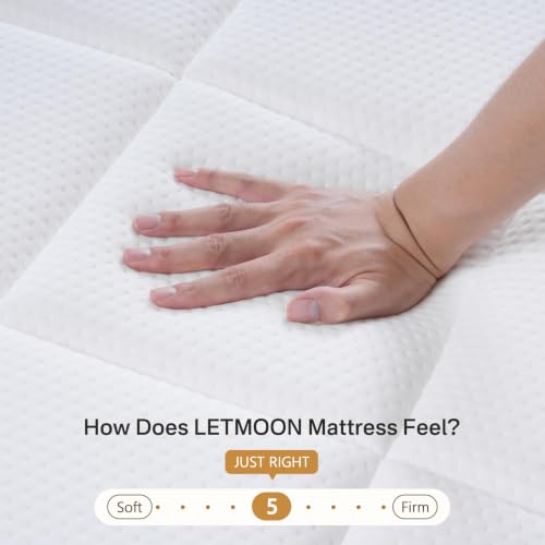Luxury Twin Mattress, 8 Inch Hybrid Twin Size Mattress in a Box,Back Relief, view 3