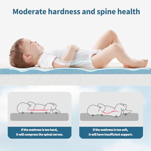 Baby Bassinet Mattress Pad, 36.5" x 25" x 2" Dual Sided Gel Memory Foam Mattress with Removable Soft Cover Fit for Dream On Me Nest/Zodiak/Zoom Portable, Pamo Babe Deluxe and Baby Trend Playard