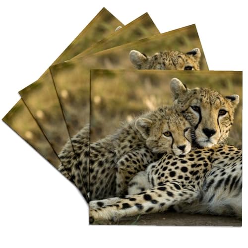 Cheetah with cub ceramic tile coasters, set of four, view 2