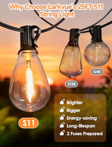 25FT LED Outdoor String Lights, 10+1 Edison S11 Dimmable Bulb Waterproof Patio Lights, Connectable Outside Hanging Strand for Backyard Garden