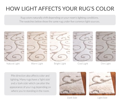 SAFAVIEH Florida Shag Rug 3'3"x5'3", Soft Plush Cream & Beige SG455-1113, view 5