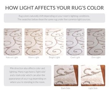 SAFAVIEH Florida Shag Rug 3'3"x5'3", Soft Plush Cream & Beige SG455-1113, view 5