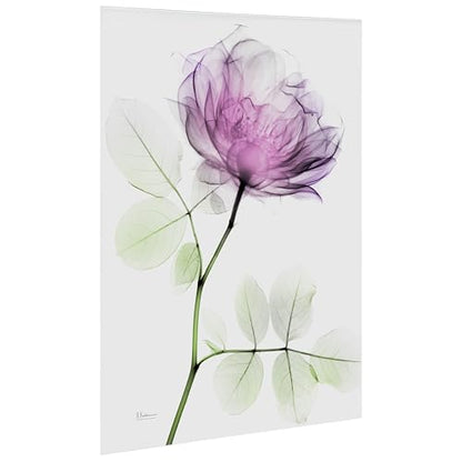 FramelessTempered Glass Wall Art, Decorative Art for Wall, X-ray Pink Rose Print, Living Room, Bedroom, Home Office, Ready to Hang, 48" x 32"