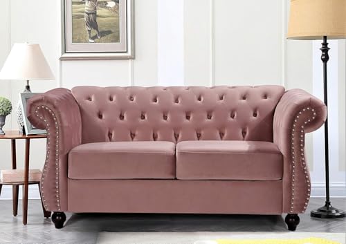Feinstein Modern Velvet Chesterfield Couches for Living Room with Nailheads, Diamond Tufting & Durable Metal Frame, Loveseat, Rose