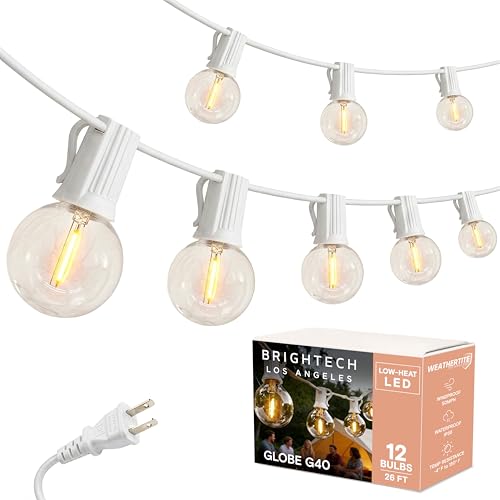 Ambience Pro LED String Lights - 26 Ft Commercial Grade Patio Lights Outdoor Waterproof - 12 Globe Porch String Lights for Outside, Backyard - 1W Vintage Edison Bulbs, Shine Bright, White