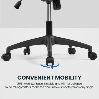Ergonomic Office Chair, High Back Desk Chair with Headrest and Flip-Up Armrest Lumbar Support for Home Office Meeting Room Study, Black